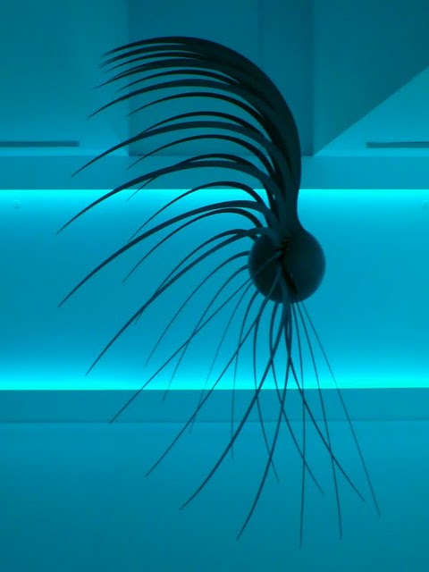 Orla Barry & Rui Chafes, Museu Berardo, 2011.