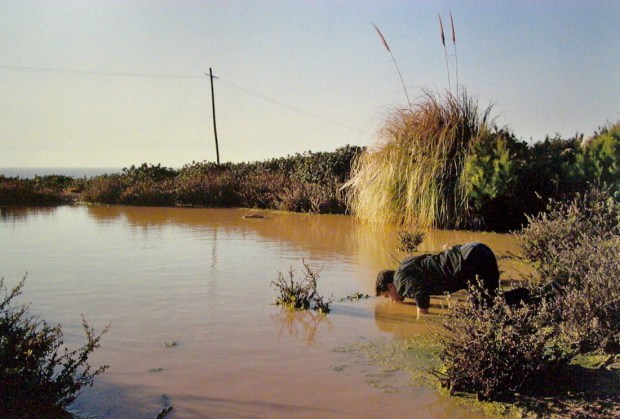 João Tabarra (1966), Lake + Fool, 2000, Col. MNAC – Museu do Chiado. Inv. 2417. Doado por Cristina Guerra e Filomena Soares. Cortesia MNAC – Museu do Chiado.