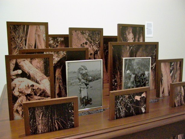 Vasco Araújo, Botânica, 2012, Mesa de Madeira, 15 fotografias digitais, molduras de madeira e metal, Cortesia do artista e da Galeria Filomena Soares.