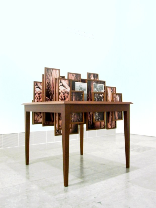 Vasco Araújo, Botânica, 2012, Mesa de Madeira, 15 fotografias digitais, molduras de madeira e metal, Cortesia do artista e da Galeria Filomena Soares.