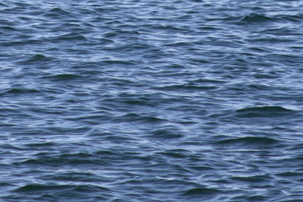 Adelina Lopes, exposição Mar sobre papel na Galeria Pedro Oliveira, Porto, 2013. Cortesia da artista e da Galeria Pedro Oliveira.