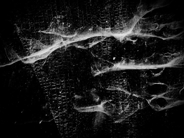 Susana Paiva, da série Electronic Landscapes © Susana Paiva. Cortesia da artista.