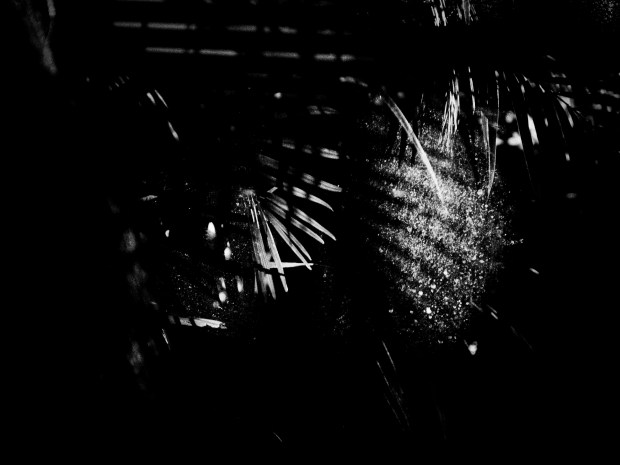 Susana Paiva, da série Electronic Landscapes © Susana Paiva. Cortesia da artista.