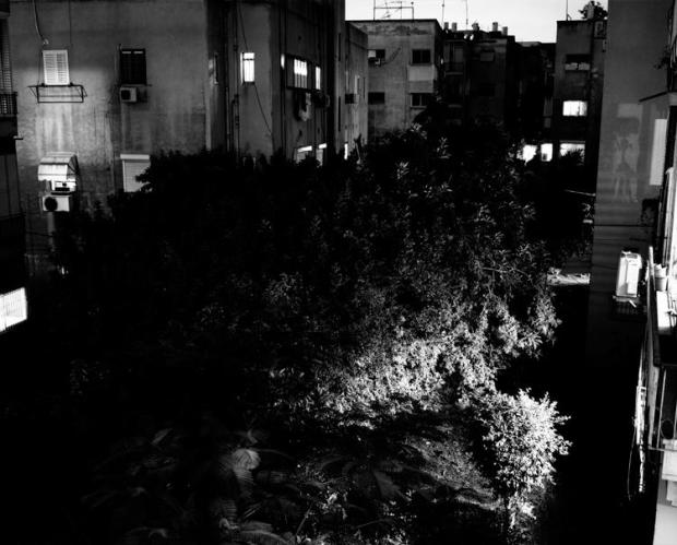 José Pedro Cortes, da série: 'Things here and things still to come', 2011. © José Pedro Cortes. Cortesia do artista.