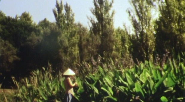 Cristina Regadas (Portugal), Cling, 2012, filme super 8 transferido para vídeo, cor, som, 2’ 46’’