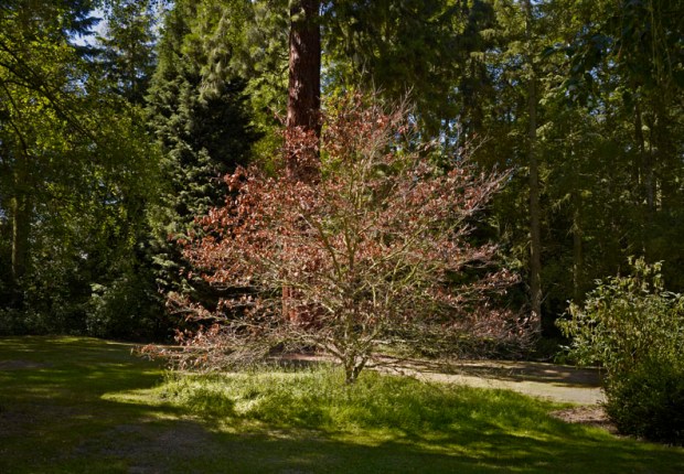 Gabriela Albergaria © Gabriela Albergaria. Cortesia de Porta 33.