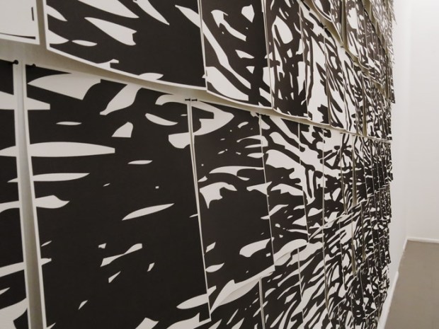 Pedro Calapez, Árvore jacente, detalhe. © Pedro Calapez. Cortesia de rosalux, Berlim, 2013. 