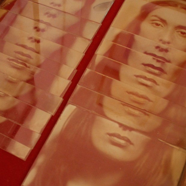 (detalhe) da exposição 'O Primogénito', de Rute de Carvalho Magalhães e Filipe Alves @ Pickpocket Gallery, Lisboa.