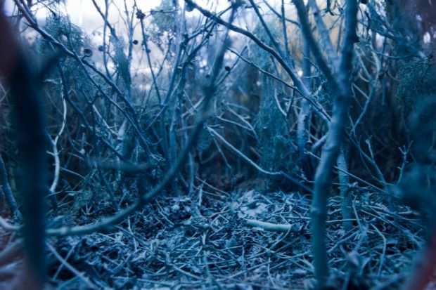 Vista da exposição 'The Age of Divinity' - Pedro Vaz, Diorama de Paisagem, 2012. Imagem: © Fabio Salvo. Cortesia Plataforma Revólver.