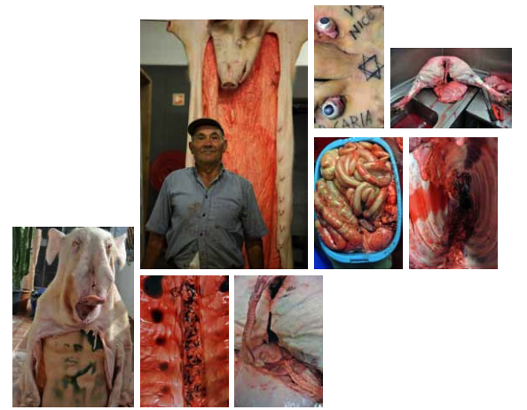 Yonamine © Yonamine