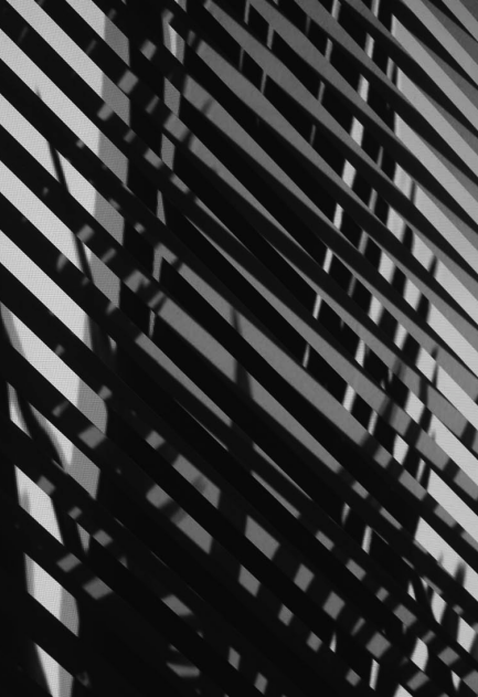 Alexandre Estrela, Le Moiré, 2010 (pormenor) projecção vídeo, DVD (OAL), ecrã em vidro, som mono, loop 100 x 70 cm (dimensão da projecção). © Alexandre Estrela. Cortesia do artista e da Fundação de Serralves.