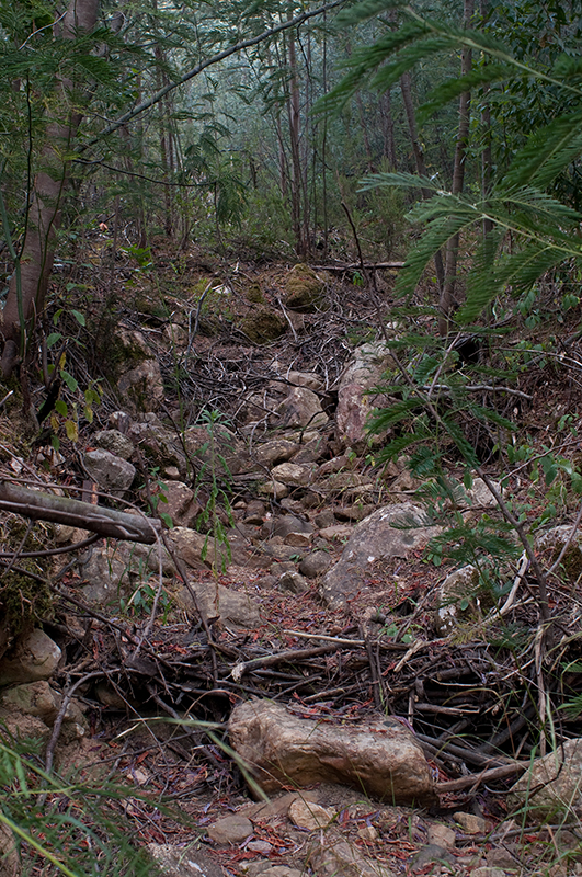 © Luisa Ferreira. Cortesia do artista e Dear Sir.